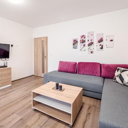 Private Luxury Apartments Frymburk Rom bilde